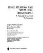 Bone Marrow and Stem Cell Processing: A Manual of Current Techniques - Areman, Ellen M, and Deeg, H Joachim, and Sacher, Ronald A