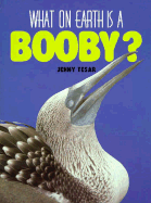 Booby