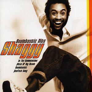 Boombastic Hits - Shaggy