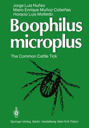 Boophilus microplus the common cattle tick