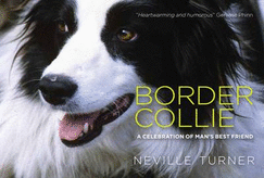 Border Collie - Turner, Neville