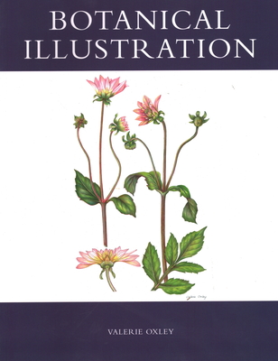 Botanical Illustration - Oxley, Valerie