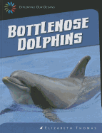 Bottlenose Dolphins