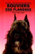 Bouvier des Flandres