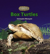 Box Turtles - Blomquist, Christopher