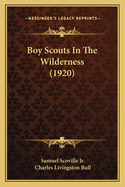 Boy Scouts in the Wilderness (1920)