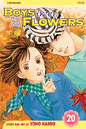 Boys Over Flowers, Volume 20: Hana Yori Dango