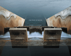 Brad Temkin: The State of Water