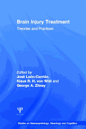 Brain Injury Treatment: Theories and Practices