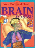 Brain & Senses