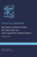 Brains Confounded by the Ode of Abk Shdkf Expounded: Volume One
