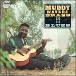 Brass and the Blues - Muddy Waters