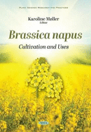Brassica napus: Cultivation and Uses