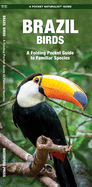 Brazil Birds: A Folding Pocket Guide to Familiar Species