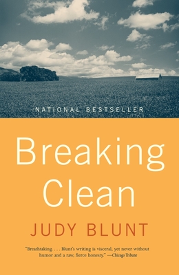 Breaking Clean - Blunt, Judy