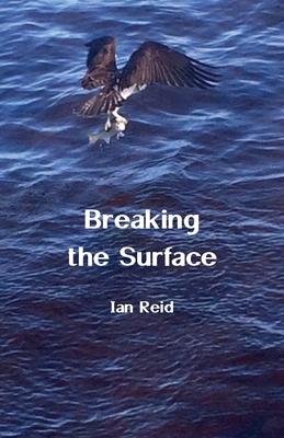 Breaking the Surface - Reid, Ian