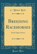 Breeding Racehorses: By the Figure System (Classic Reprint)