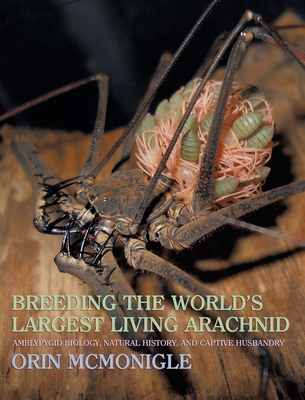 Breeding the World's Largest Living Arachnid: Amblypygid (Whipspider) Biology, Natural History, and Captive Husbandry - McMonigle, Orin