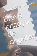 Breve ensayo de ngeles
