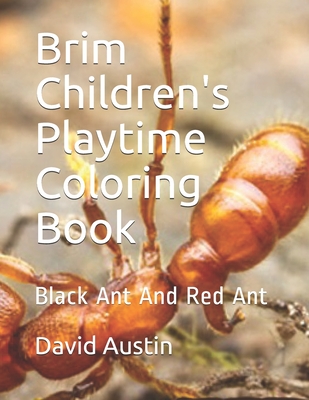 Brim Children's Playtime Coloring Book: Black Ant And Red Ant - Austin, David