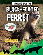 Bringing Back the Black-Footed Ferret
