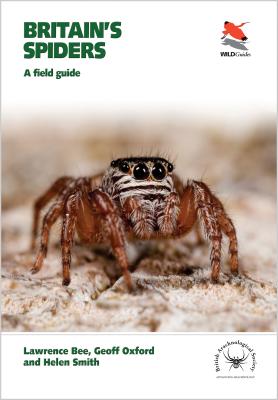 Britain's Spiders: A Field Guide - Bee, Lawrence, and Oxford, Geoff, and Smith, Helen