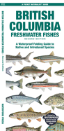 British Columbia Freshwater Fishes: A Waterproof Folding Guide to Native and Introduced Species