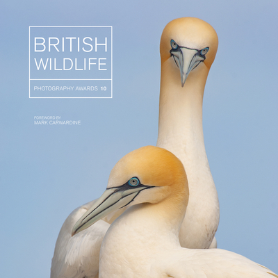 British Wildlife Photography Awards 10 - Gowan, Maggie