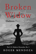 Broken Widow: Darkness Finds the Light