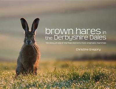 Brown Hares in the Derbyshire Dales: The Story of One of the Peak District's Most Enigmatic Mammals - Gregory, Christine