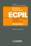Brussels Ibis Regulation - Commentary
