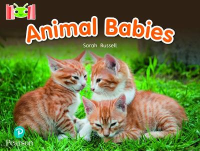 Bug Club Reading Corner: Age 4-7: Animal Babies - Russell, Sarah