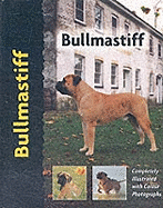 Bullmastiff