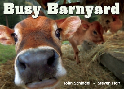 Busy Barnyard - Schindel, John, and Holt, Steven (Photographer)