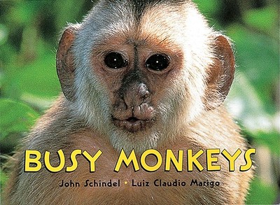 Busy Monkeys - Schindel, John, and Claudio Marigo, Luiz (Photographer)