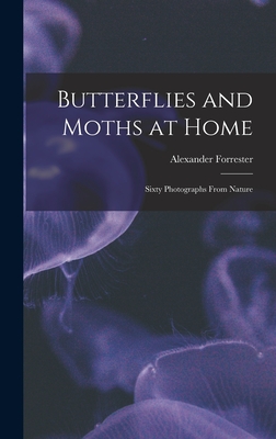 Butterflies and Moths at Home: Sixty Photographs From Nature - Forrester, Alexander D 1787 (Creator)