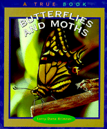 Butterflies and Moths