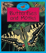 Butterflies and Moths