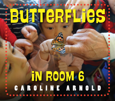 Butterflies in Room 6: See How They Grow - Arnold, Caroline