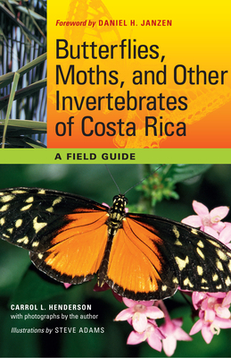Butterflies, Moths, and Other Invertebrates of Costa Rica: A Field Guide - Henderson, Carrol L, and Janzen, Daniel H (Introduction by)