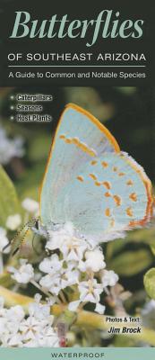 Butterflies of Southeast Arizona: A Guide to Common and Notable Species - Brock, Jim