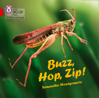 Buzz, Hop, Zip! Big Book: Band 02a/Red a - Montgomerie, Samantha, and Collins Big Cat (Prepared for publication by)
