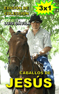 Caballos de Jess