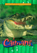 Caimans