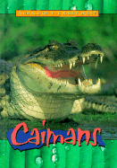 Caimans - Dollar, Sam