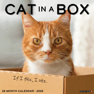 CAL 25 CAT IN A BOX 2025 WALL