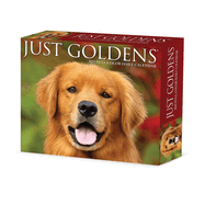 CAL 25 GOLDENS 2025 BOX