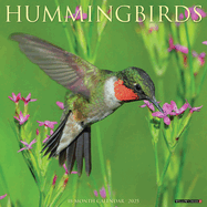 CAL 25 HUMMINGBIRDS 2025 WALL