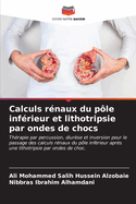 Calculs r?naux du p?le inf?rieur et lithotripsie par ondes de chocs