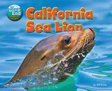 California Sea Lion